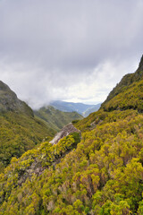 Fototapeta na wymiar The magnificent inland of the island of Madeira, hiking, Laurisilva Nationalpark