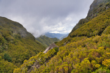The magnificent inland of the island of Madeira, hiking, Laurisilva Nationalpark