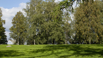 Park with green grass in jyväskylä, Finland