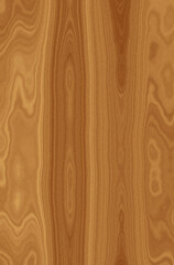 Wood texture. Lining boards wall. Wooden background. pattern. Showing growth rings