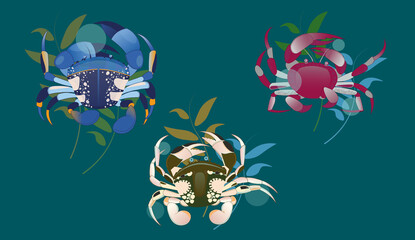 Cards, poster, banner set with decorative detail crabs