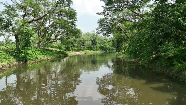 lake in the forest - river in the firest - beautiful of bangladesh 