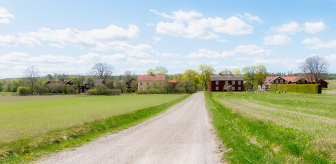 Fototapeta na wymiar Country road in a typically Swedish farm landscape in spring