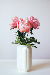 Beautiful bunch of fresh Coral Charm peonies in full bloom in vase against white background. Minimalist floral still life with blooming flowers.