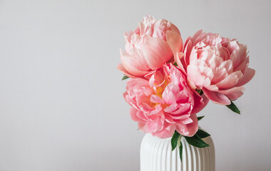 Beautiful bunch of fresh Coral Charm peonies in full bloom in vase against white background, close up. Copy space for text. Minimalist floral still life with blooming flowers.