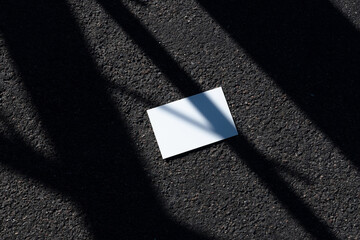 White business card, natural light photo mockup in urban outdoor environments with deep sunlit...