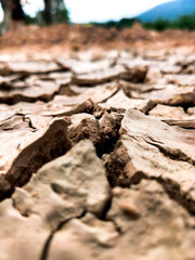 dry cracked earth