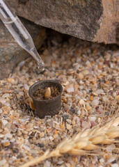 watering the plant with water drop