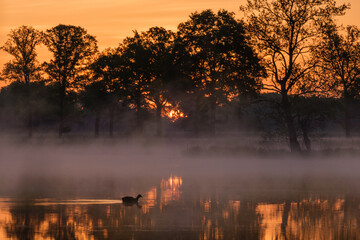 Naklejka premium sunrise over the lake