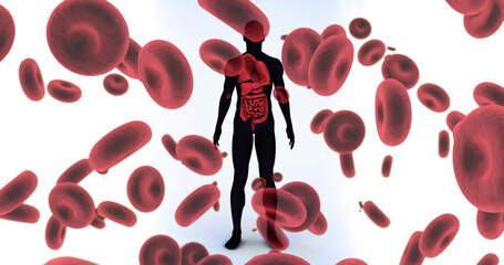 Image of falling blood cells over human body model