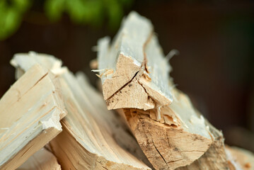 Photo of chopped aspen firewood