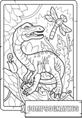 prehistoric dinosaur compsognathus, coloring book for children, outline illustration, design - 507100144
