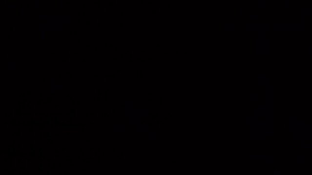 Ultraviolet light quickly illuminates scorpion with nymphs in birth basket.