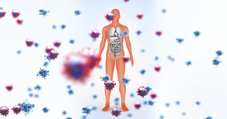 Image of falling viruses cells over human body model