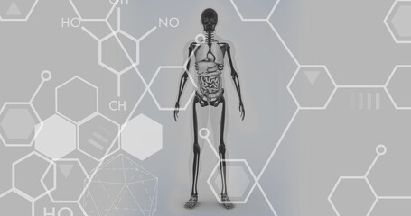 Image of chemical formulas over human body model