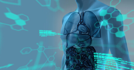 Image of data processing over human body model