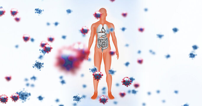 Image of falling viruses cells over human body model