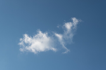 Cloud in blue sky, cloud in shape of fairy tale creature, dragon or bird