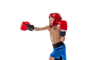 Portrait of little boy, kid in boxer gloves and shorts training isolated on white studio background. Concept of sport, movement, studying, achievements lifestyle.