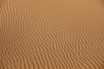 Lines and shadows of sand dune pattern in Wahiba Desert, Oman.