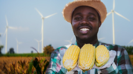 African farmer standing and holding fresh corn on organic farm with wind turbine in...