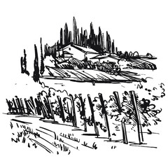 Vineyard rural landscape. Agriculture panorama view with wine  field and winery farm house on a background. Black and white hand drawn doodle vector. 