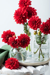 Red amazing flowers dahlias