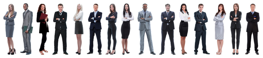 Young attractive business people - the elite business team