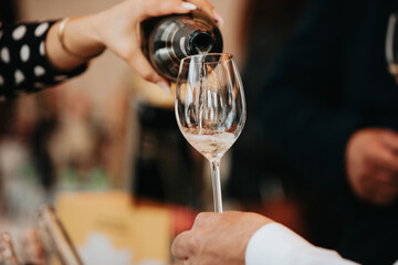 We celebrate success with a glass of white wine and champagne in hand at a special tasting with happy people.