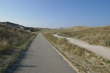Fototapeta premium Cycle and pedestrian path through the dunes at the North Sea (here near Julianadorp, North Holland, Netherlands)