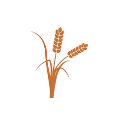 Cereal ear and spike icon isolated on white background