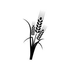 Fototapeta premium Cereal ear and spike icon isolated on white background