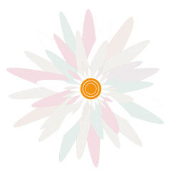 Daisy Flower head vector nature, plants, spring design. Colorful flower isolated on white, ,Flat floral design element