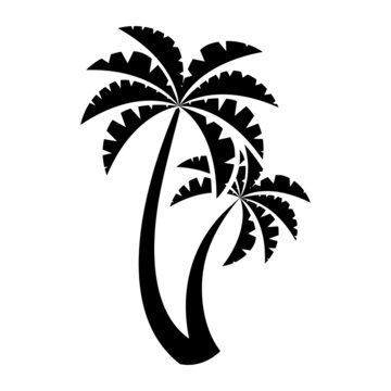 Palm icon. Black silhouette of a beach tree. Symbol of vacation and beach holidays. Vector illustration flat design. Isolated on white background.