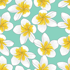 Fototapeta na wymiar Plumeria Flowers, Floral Seamless Pattern Background