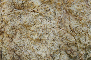 Texture and background of quartzite metamorphic natural rock. 