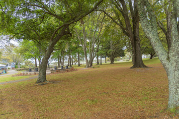 Sunset Beach Park