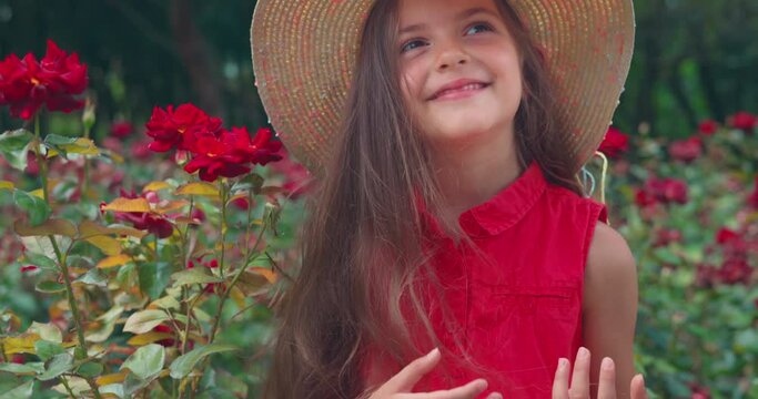 Girl in a rose garden.  Bulgarian rose valley near Kazanlak. Rose Damascena fields. 