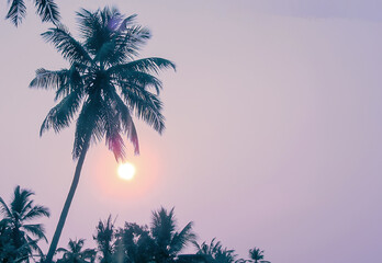 A beautiful scenic of Sun Set at Allapy of Kerala, India