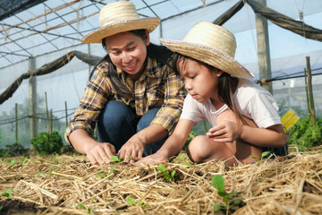 Little girl wearing a hat helps her mother in the garden, a little gardener. Cute girl planting vegetables in the garden.