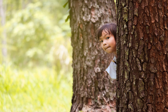Smiling little girl standing behind a tree and looking at the camera. Adorable child having fun outdoors in the park. Childhood concept