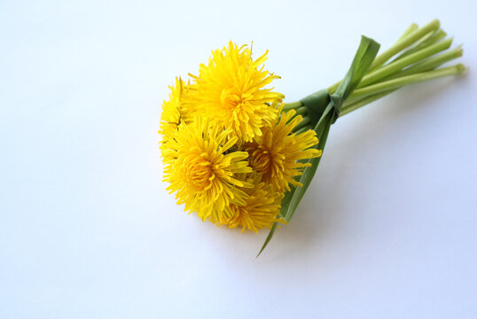 Small bouquet of dandelions on a white background. There is free space for text. Postcard for congratulations. Selective focus.
