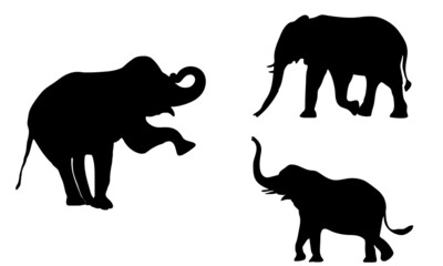 Set of elephant silhouettes. Elephant shadow hand drawn. Flat vector illustration.