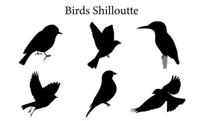 Set of blackbird silhouettes. Vector elements for design.