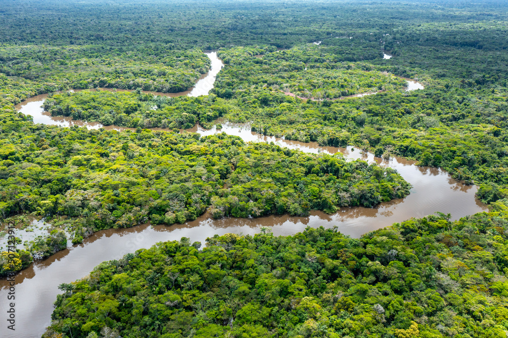 Sticker Peru. Aerial view of Rio Momon. Top View of Amazon Rainforest, near Iquitos, Peru. South America.  - Stickers