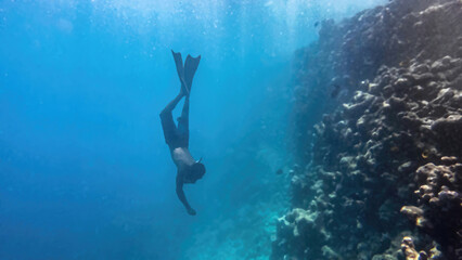 Fototapeta na wymiar Free diver. Red Sea, Sharm-El Sheikh, Egypt.
