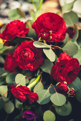 Blooming fresh bouquet of several red roses and green leaves.
