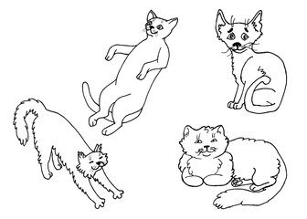 Set of hand drawn white cats isolated on background