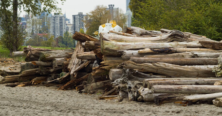 side view of Piles of logs on the beach, vancouver canada