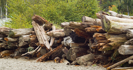 bunch of Piles of logs on the beach, vancouver canada